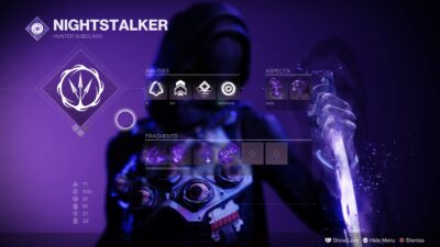 Void Hunter Destiny 2 Build (The Invisible Hunter) Details 2