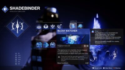 Destiny 2 Warlock Bleak Watcher