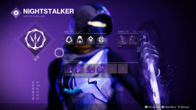 Best Void Hunter Build Destiny 2 (Nightstalker Gunslinger) Details 2