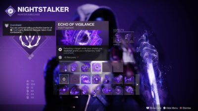 Destiny 2 Hunter Echo of Vigilance